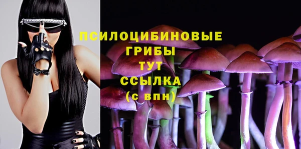 стафф Белоозёрский