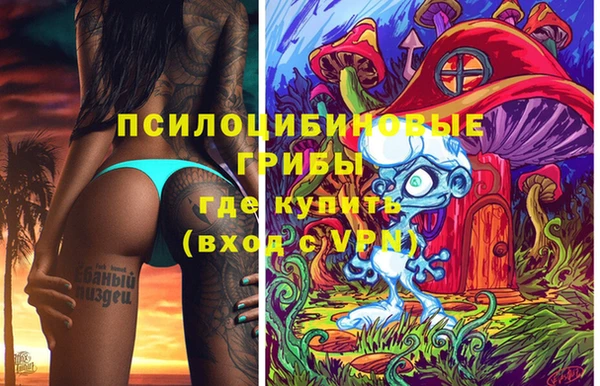 твердый Бронницы