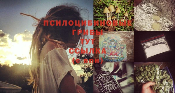 mdpv Белокуриха